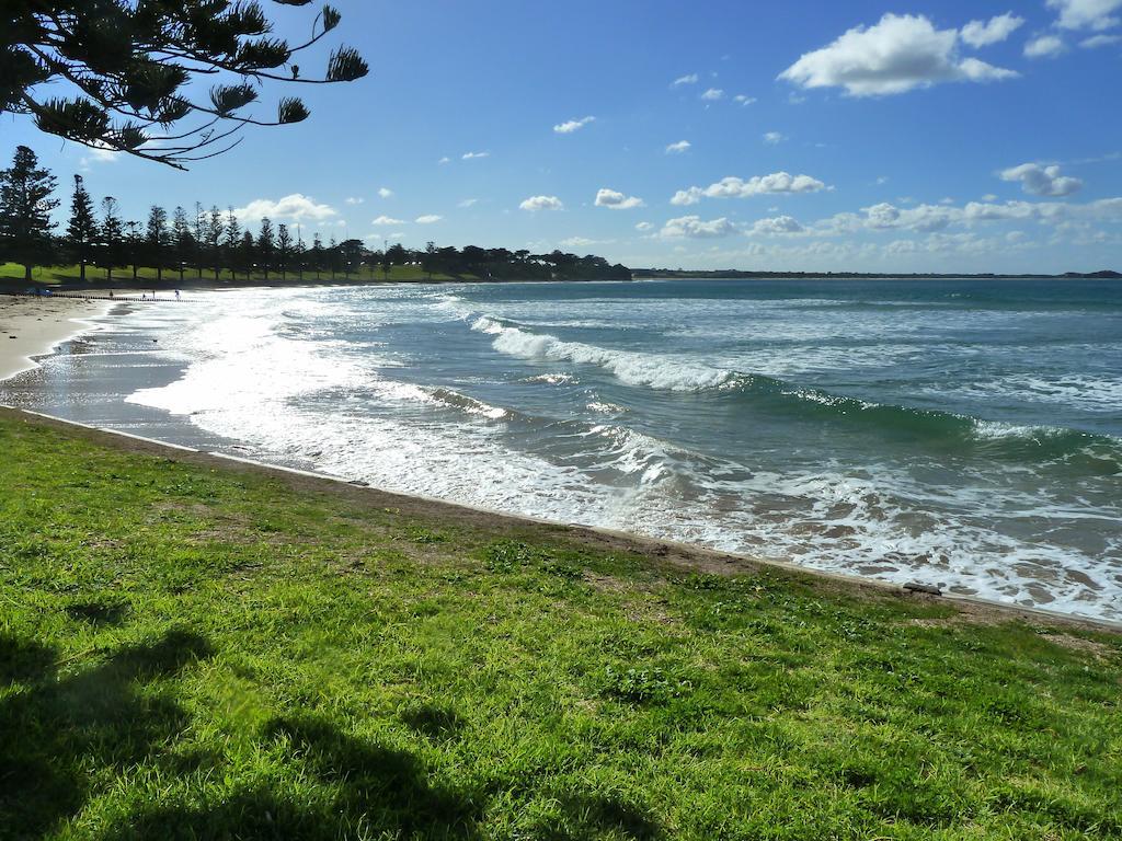 نزل توركيفي Bells Beach Backpackers المظهر الخارجي الصورة