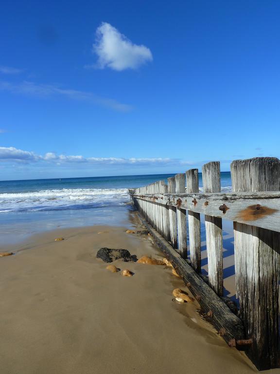 نزل توركيفي Bells Beach Backpackers المظهر الخارجي الصورة